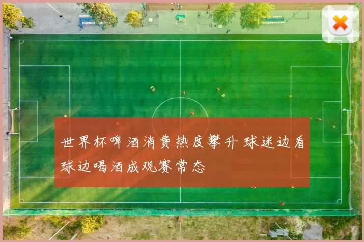 世界杯啤酒消费热度攀升 球迷边看球边喝酒成观赛常态