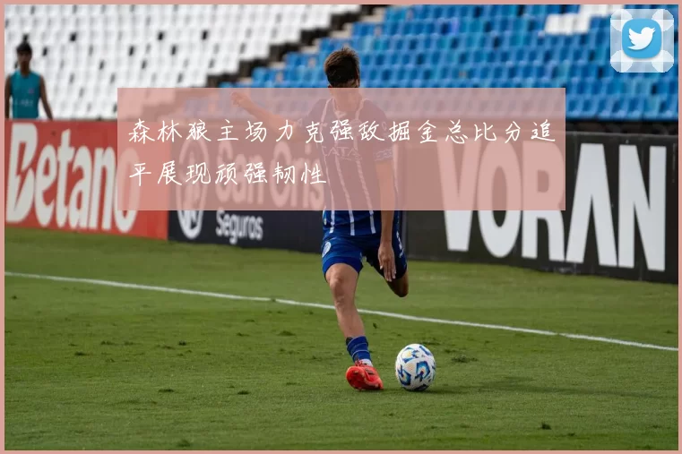 森林狼主场力克强敌掘金总比分追平展现顽强韧性