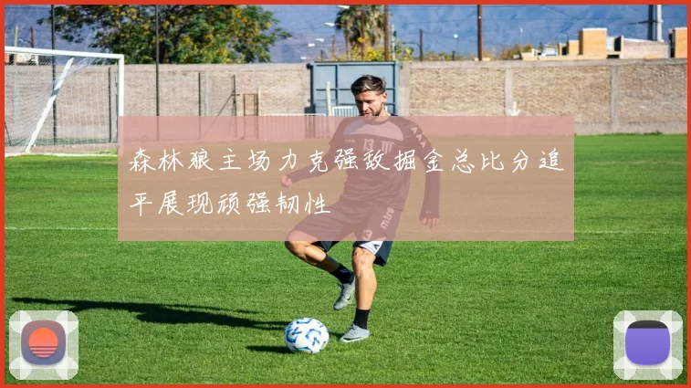 森林狼主场力克强敌掘金总比分追平展现顽强韧性